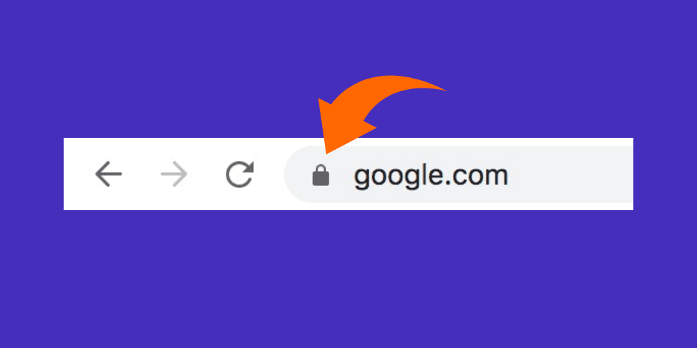 Make sure your website is https so you can embed secure websites