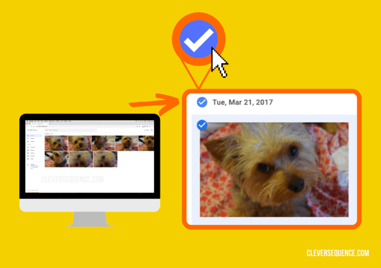 7 Steps to Backup Google Photos to an External Hard Drive
