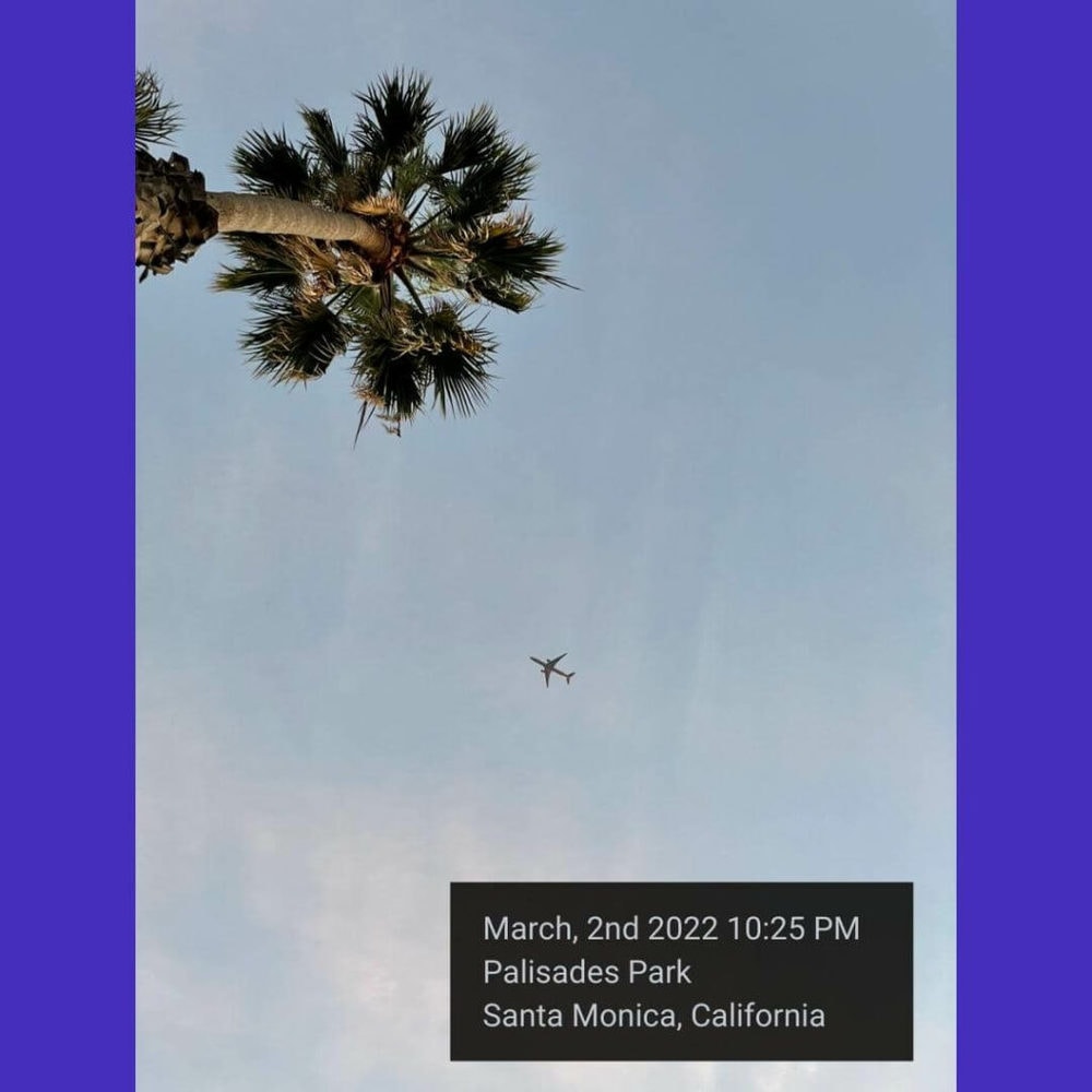 palmtree and airplane adjust button to change the timestamp on iphone best date stamp app timestamp app for iPhone