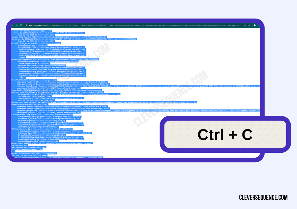 Highlight the entire raw message Press Cmd plus C or Ctrl plus C on your keyboard to copy the message