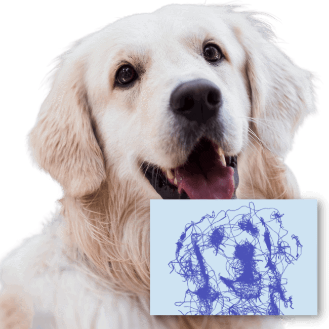 convert photo to line drawing online turning a photo into a line drawing a dog app that makes pictures look like drawings photo to outline drawing free