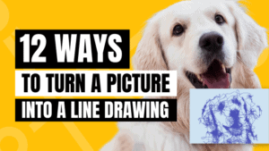 turning a photo into a line drawing