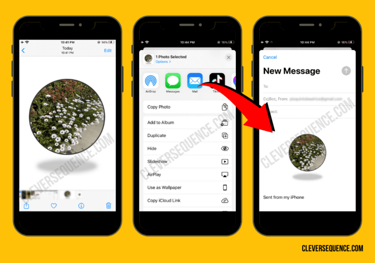 5 Effective Ways to Crop a Picture Into a Circle on iPhone 2024