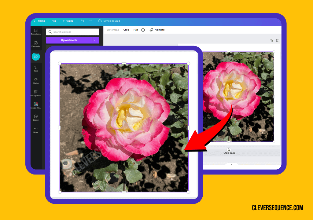 Upload Your Image of the flower into canva