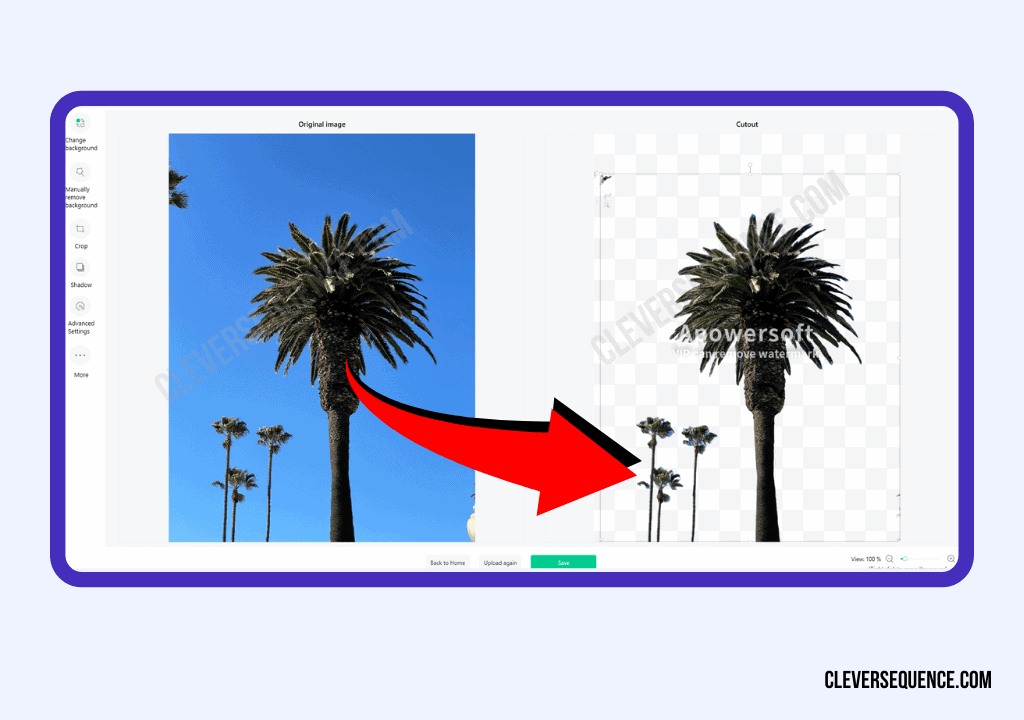 the image of a palmtree has not background